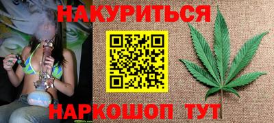 прущие грибы Новокубанск