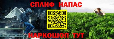 прущие грибы Новокубанск