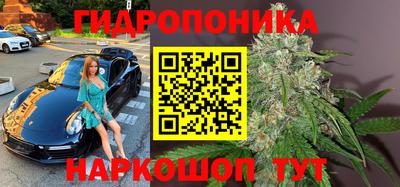 прущие грибы Новокубанск