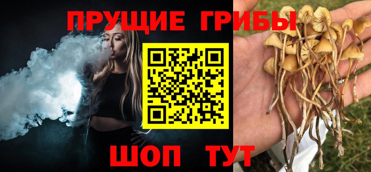 Галлюциногенные грибы MAGIC MUSHROOMS  Псилоцибиновые грибы Magic Shrooms  сколько стоит  Вход с VPN  Усолье-Сибирское 